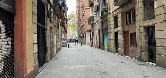 Apartamento en venta en Carrer de Sant Bertran, El Raval