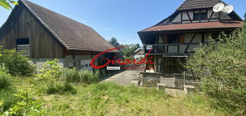 PROPRIETE DE 714M2 AVEC MAISON A COLOMBAGES SUR KOETZINGUE,1