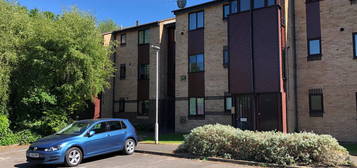 1 bed flat to rent