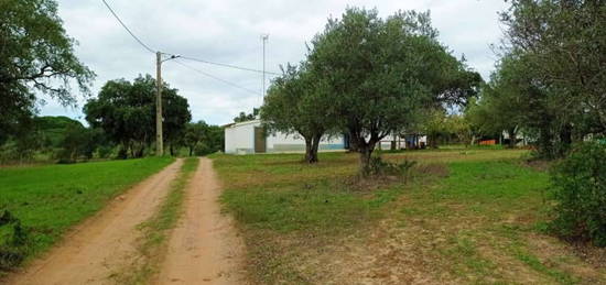 HERDADE NO ALENTEJO a 40km do litoral para fins agrícolas ou turíst...