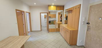 Pronájem bytu 3+kk 108 m², Na Mlejnku, Praha