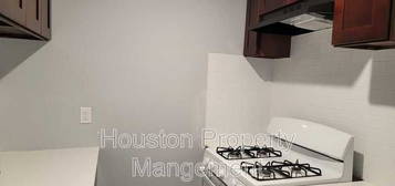 10209 Wiggins St #9, Houston, TX 77029