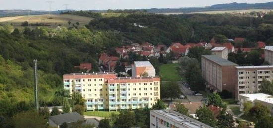 AUFZUG+SONNIGER BALKON 1-Raum-Wohnung  zentral und gemütlich im GRÜNEN !