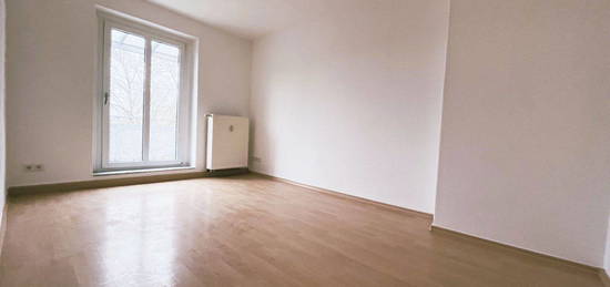 Frisch renovierte, helle 43qm 2-Zimmer Wohnung mit Balkon, nur 200m zum Supermarkt, nur 1Km vom Geiseltalsee entfernt!