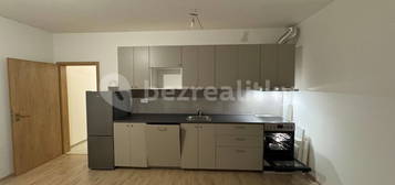 Pronájem bytu 2+kk 50 m², Goldscheiderova, Plzeň