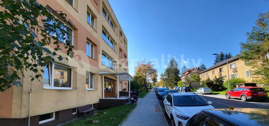 Pronájem bytu 1+kk 27 m², Bezručova, Beroun