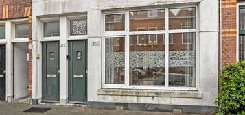 Fahrenheitstraat 215