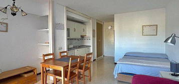 Estudio en Port d'Alcúdia - Platja d'Alcúdia, Alcúdia