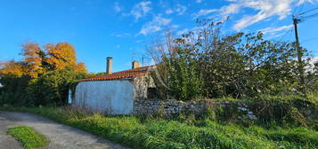 MAISON EN PIERRES  A RENOVER AVEC GRAND TERRAIN