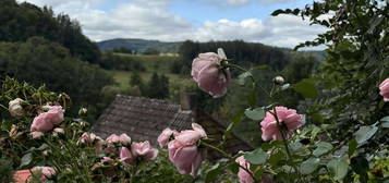 Raumwunder: gemütliches Haus mit 4 Zimmern und idyllischem Ausblick