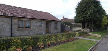 Semi-detached bungalow to rent in Cameron Court, Kirk Merrington, Spennymoor DL16