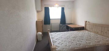 1 bedroom house share