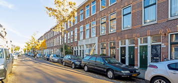 Fahrenheitstraat 213