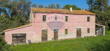 Proprietà rustica in vendita a Cuccurano - Carrara - Monte Giove