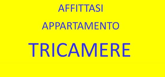 Appartamento a Nove, 5 locali