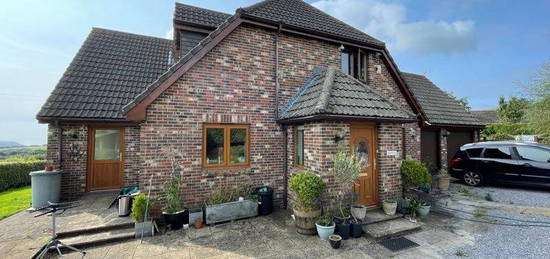 Detached house to rent in Colyton Hill, Colyton EX24