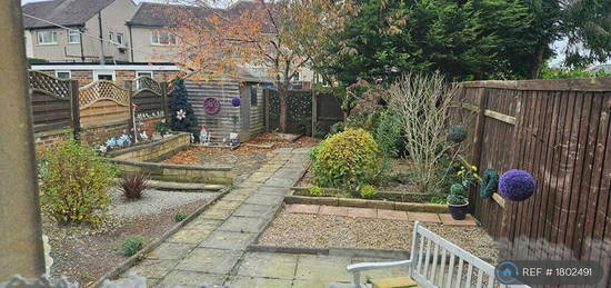 3 bedroom terraced house