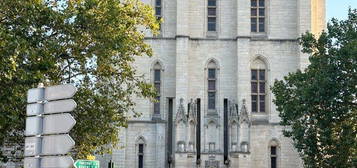 Superbe appartement face au château