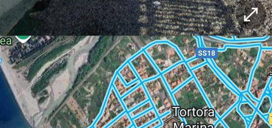 Tortora marina