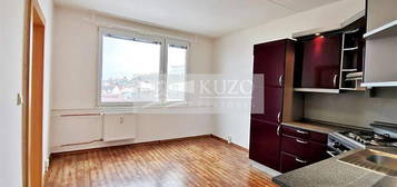 Pronájem bytu 1+1 37 m²