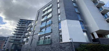 1 bed flat to rent