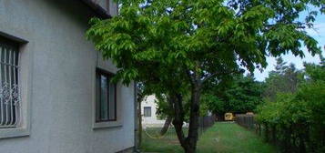 Apartman