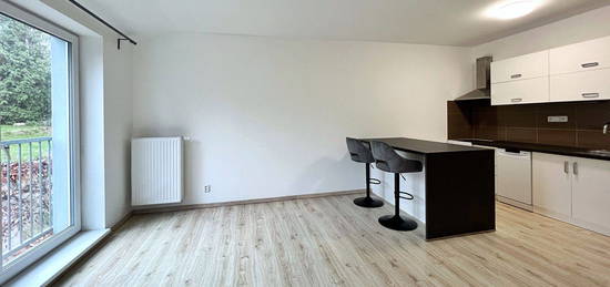 Pronájem bytu 2+kk 49 m²