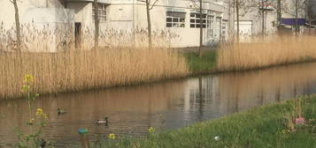 Studentenkamer in Breda met dakterras