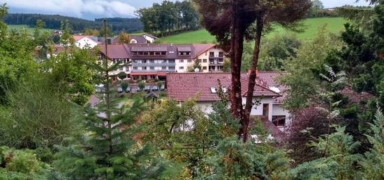 Ruhige Südhangwohnung mit Fernblick in Güttersbach