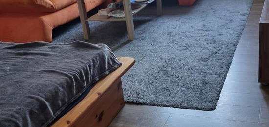 Einzelwohnung Nachmieter ab sofort 435€ warm!