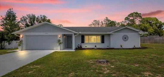 12421 Seagate St, Spring Hill, FL 34609