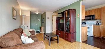 Appartement meublé  à louer, 2 pièces, 36 m², Étage –/0