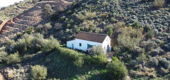 Finca rústica en venta en Coín