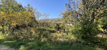 Traditionelles Winzerhaus mit zwei Einfahrten und 1.393 m² Grundstücksgröße - Gumpoldskirchen