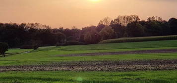 Dans un joli village des environs de Châteauneuf d'Ille et vilaine, jolie propriété de plusieurs bâtiments