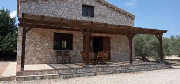 Finca avec oliveraie sur 7800m² de terrain