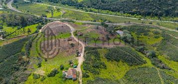 Moradia T3 para recuperar com Ruína e Armazém em Terreno com 4.15 Ha