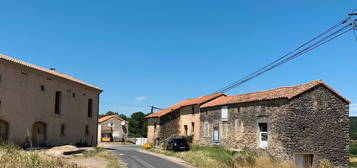 Ferme entièrement rénovée dans le Larzac