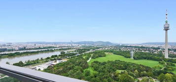 Amazing Apartment with Donaupark view