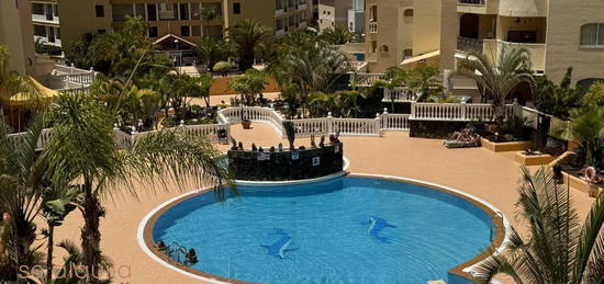 Dúplex de alquiler en Los Cristianos