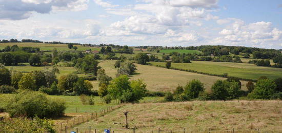 Grande maison à la campagne