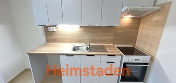 Pronájem bytu 2+1 58 m²