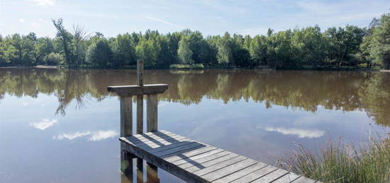 Sologne - Propriété de chasse d'environ 75 hectares