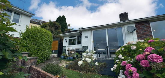 Semi-detached bungalow to rent in Southfield Road, Paignton TQ3