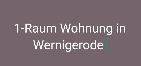 1- Raum wohnung in Wernigerode sucht Nachmieter ab dem 15.11.2024