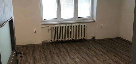 Prodej bytu 2+1 58 m² (Jednopodlažní)