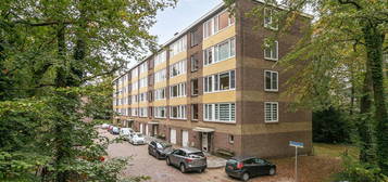 Plesmanstraat 309