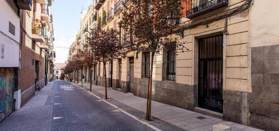 Apartamento de alquiler en San Ildefonso, Embajadores - Lavapiés