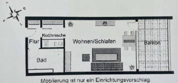 Neu möblierte 1-Zi.-Wohnung mit tollem Balkon