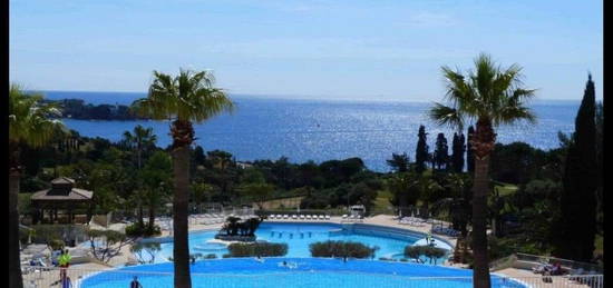 Location appart t2 terrasse piscine saint raphael frejus